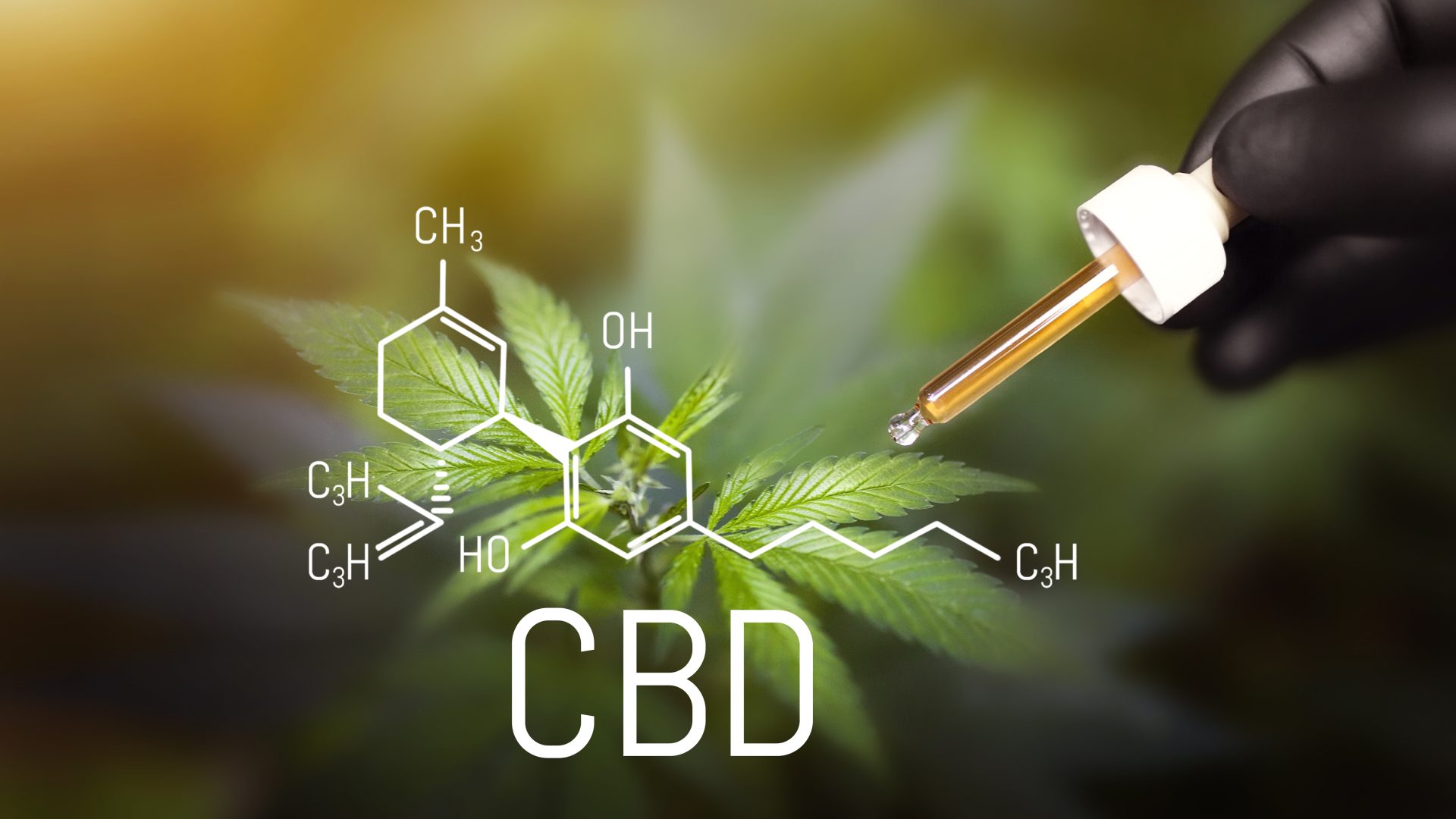 Is CBD Oil Legal