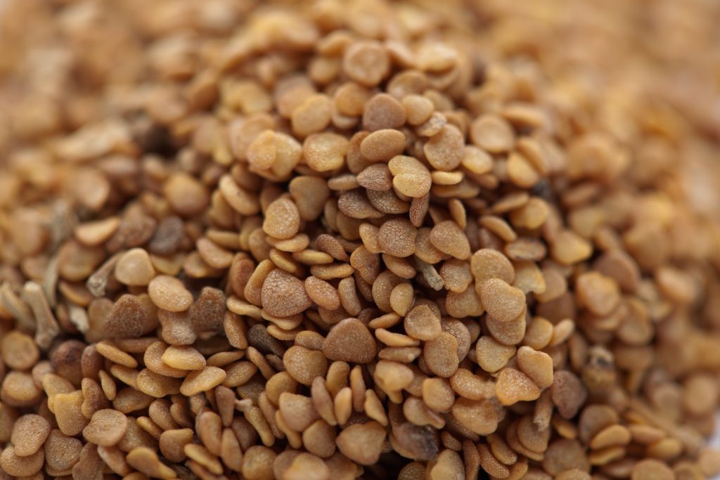 best time to take ashwagandha