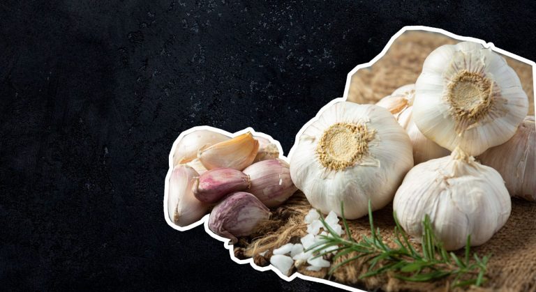 Best Garlic Supplement – Our (TOP 5) Pick