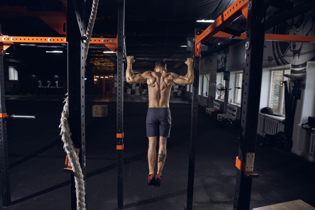 Pull Up Bar Stand