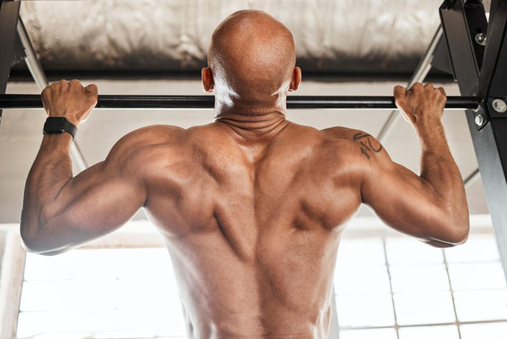 how to work upper back